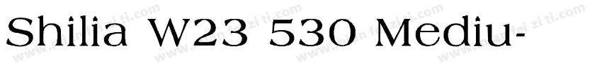 Shilia W23 530 Mediu字体转换